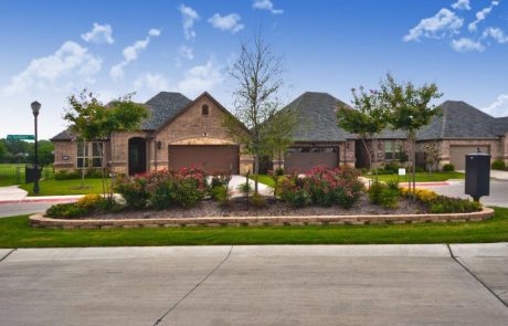 VOSG-Landscape-1024×682